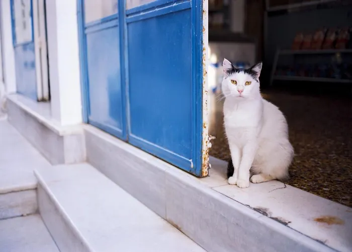 Willa Deluxe Paros Grand 4 Bedrooms Wonderful Sea View *